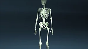 Medical HIFU 3D Animation